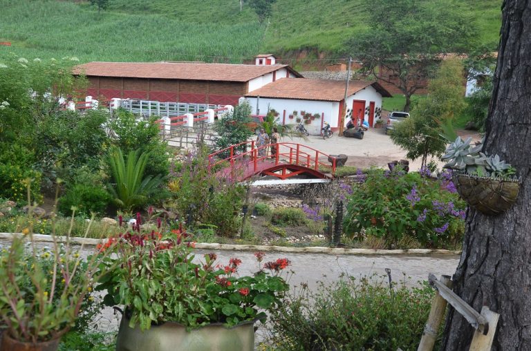 Caminho Dos Engenhos é Roteiro Das Cachaças De Alambique Destino